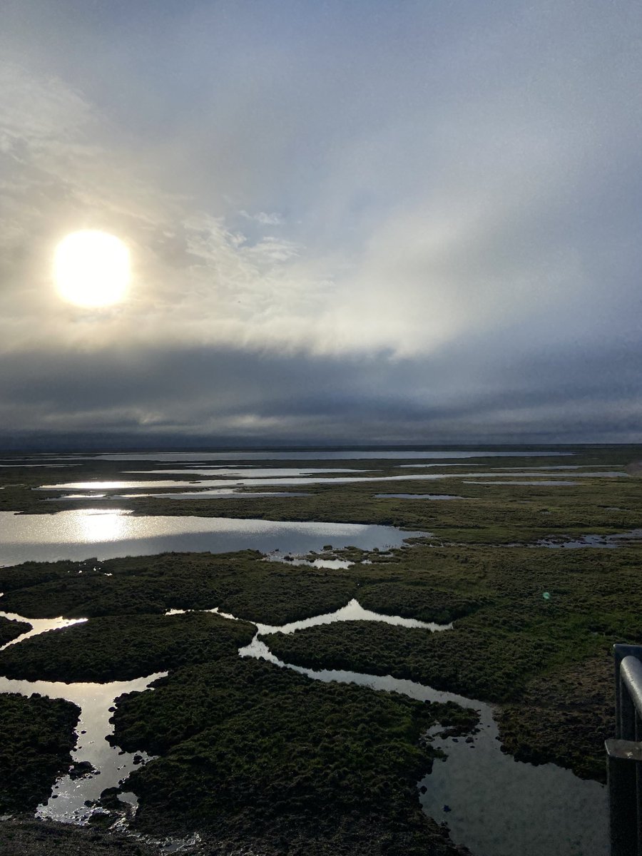 jawkneedango's tweet image. Good morning #northslope #alaska