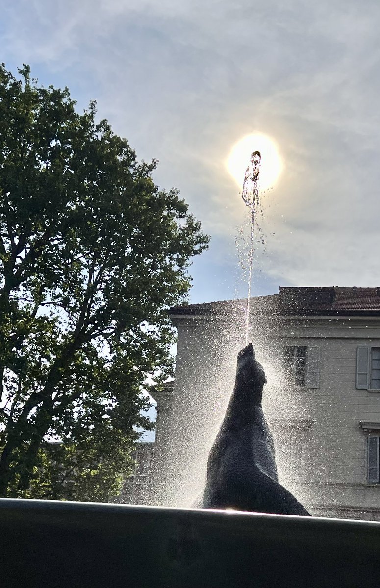 Giorgio Merlani tweet media