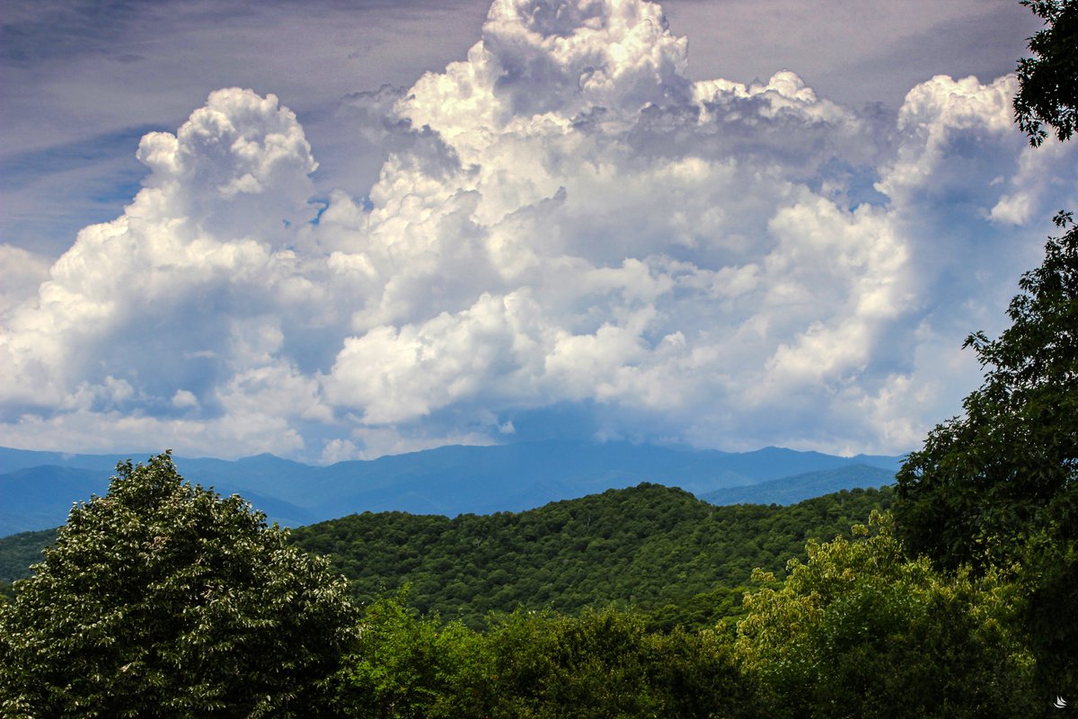 Brigham Bechtel/PelorusPhotography tweet media