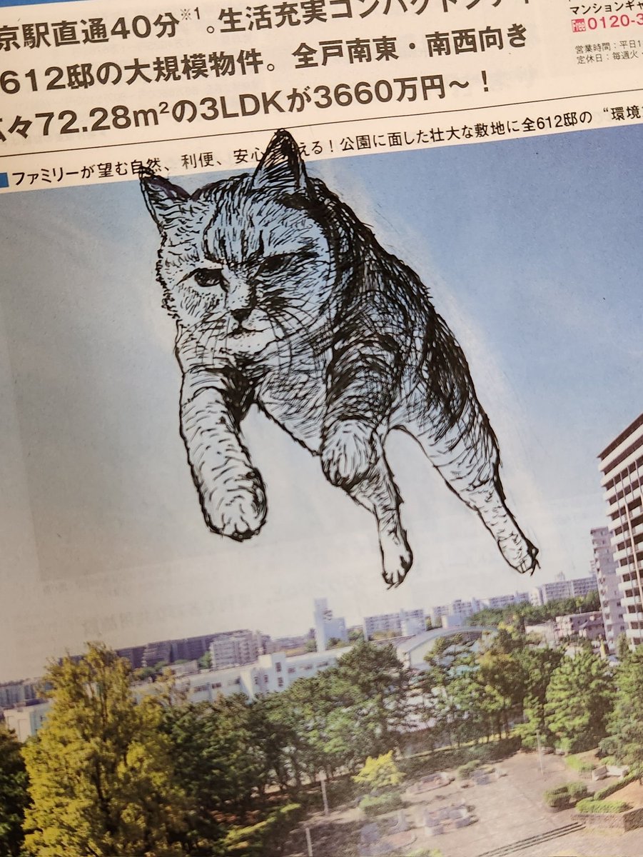 bimuyu's tweet photo. https://t.co/zd2UmNQvDp