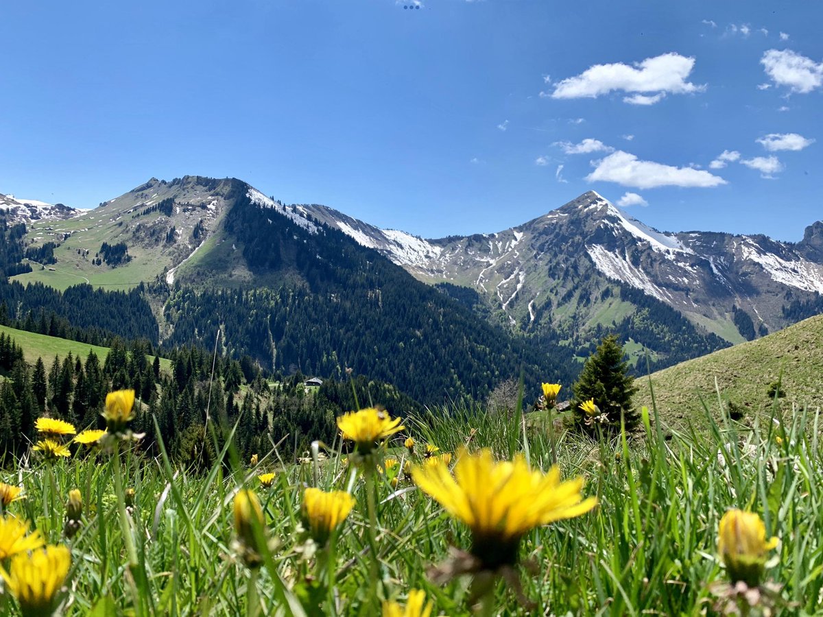 Skizeen's tweet photo. Summer at La Ferme! ☀️ Tour de France arriving  in town next weekend! The 14th stage from Annemasse to Morzine promises to be incredible, with the riders tackling the infamous passes of the Grande Boucle, Col de la Ramaz and the Col de Joux Plane - https://t.co/lpD4NCLHAH https://t.co/ZZYx2x1Vnt