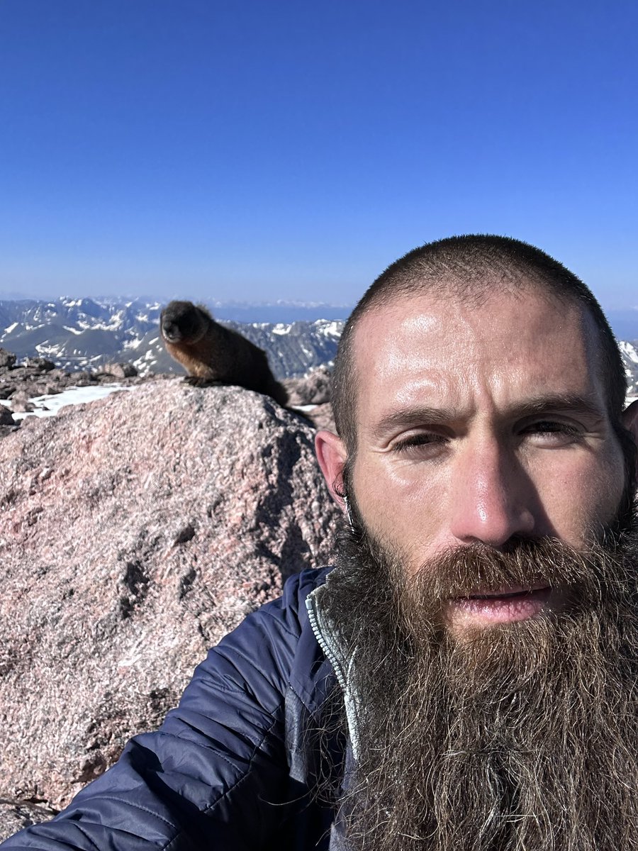 dan1elsternthal's tweet image. Another lap on longs peak. Had a visitor this time . 

#runchat #runners #runfast #garmin #strava #lancasterpa #speed #runfaster

#runchat #running #runner #ultrarunner