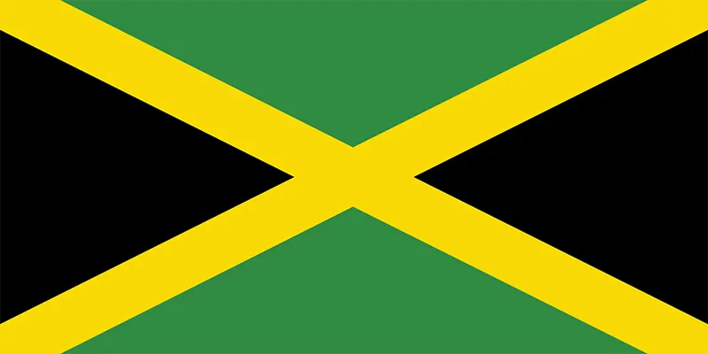 CaribbeanOTD's tweet photo. Hobie Brown aka. Spider Punk from Across the Spiverse is Jamaican! (headcanon) https://t.co/3dg6dxatAO