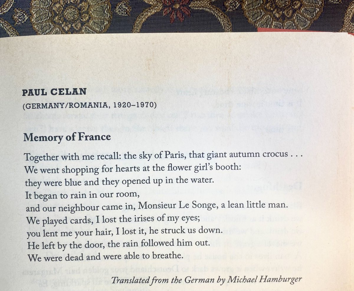 Andrea Jurjević 🏹 tweet media