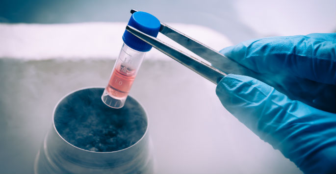 OptHealthWell's tweet photo. Call us today to learn more about #StemCellTherapy #optimalhealth https://t.co/76Cq1IeM7K https://t.co/W3e5jvZOrv