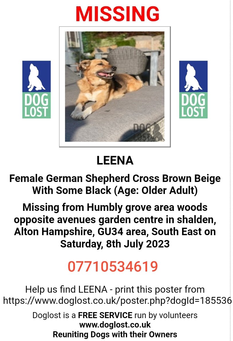 MissingPetsGB's tweet photo. ๐ LEENA went #missing 8 July 2023 on a walk in Humbly Grove Woods, Shalden #Alton #Hampshire #GU34
ยฃ500 REWARD for the safe return of Leena.
She was wearing a red collar with bells on. Please contact number below if seen ๐
https://t.co/kWEu3hfMtZ https://t.co/POYOyOSQ1V
