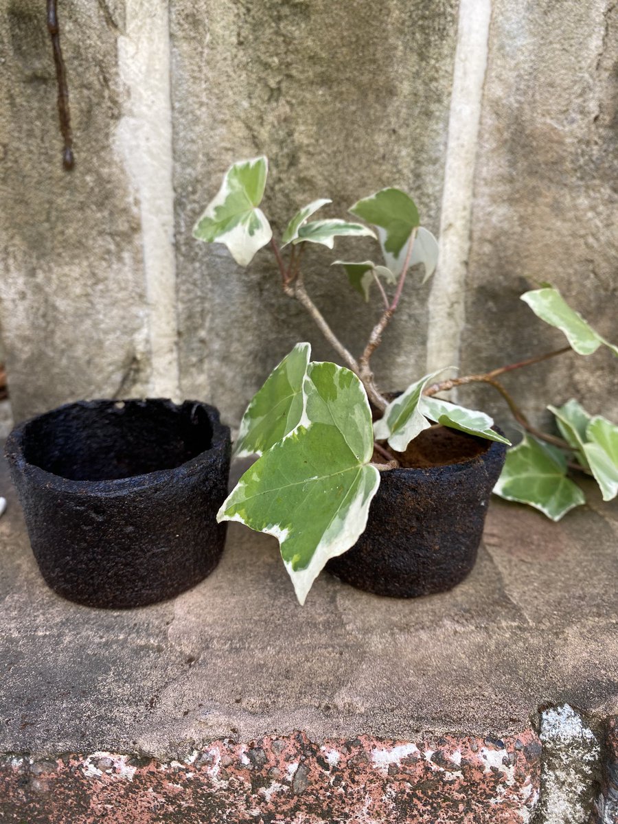 ７月22日土曜日開催

飲食店の廃油とコーヒーかすで作ったバイオプラスチックで、土に還る鉢を作ろう！

参加費無料
夏休みの自由研究としていかがでしょうか？！

予約/お問い合わせ：info@tokyo-maker.com

#ワークショップ　#夏休み　#自由研究　#リサイクル　#エコ　#廃油