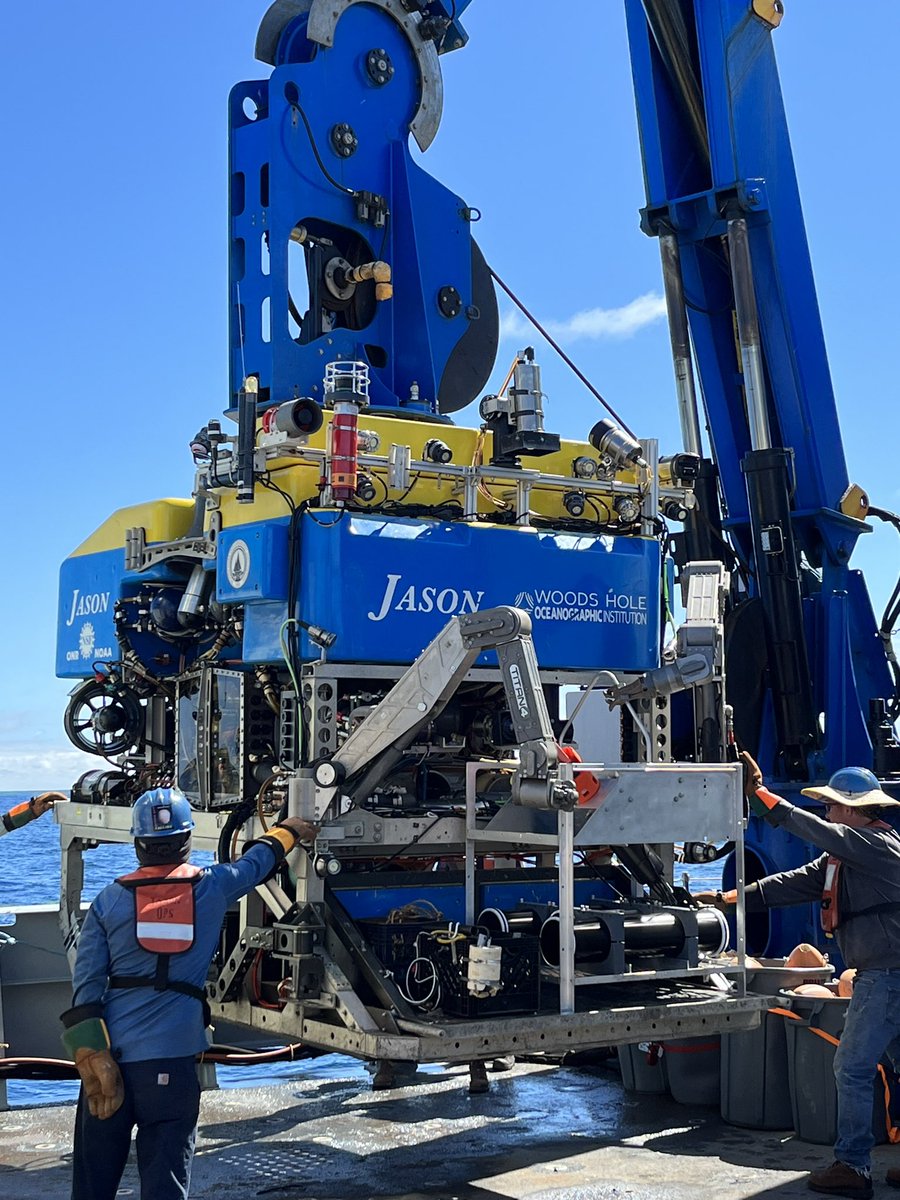 First dive of the trip!

<a href="/WHOI/">Woods Hole Oceanographic Institution (WHOI)</a>’s JASON submersible is off to repair/check a fibre optic strainmeter on the seafloor.

Dive depth: 770m 🌊🐠🐬🦑