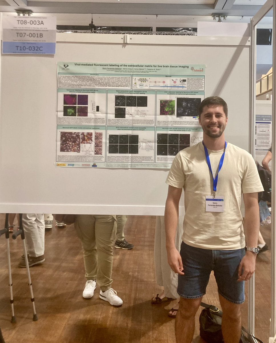 What a great experience to discuss about extracellular matrix and our new tool to label it for live imaging at #glia2023 @gliameeting Thank you all for your feedback!