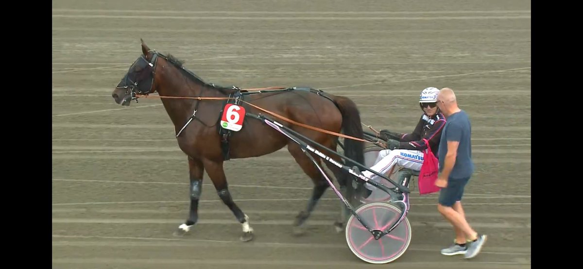 TeamMelkko's tweet photo. Com Isidor tog karriärens första seger 🥇🥳💪

Ulf Ohlsson styrde Com Isidor till seger 🥇 idag på Hagmyren i eftermiddagens tredje lopp 🥳💪😊. Segertiden blev 1.15,8 2140 meter. 

Väsby Häst AB äger och Janina är vårdare.

Stort grattis 🇸🇪 - Paljon onnea 🇫🇮 #trav #rVit https://t.co/yxUAS86V4b