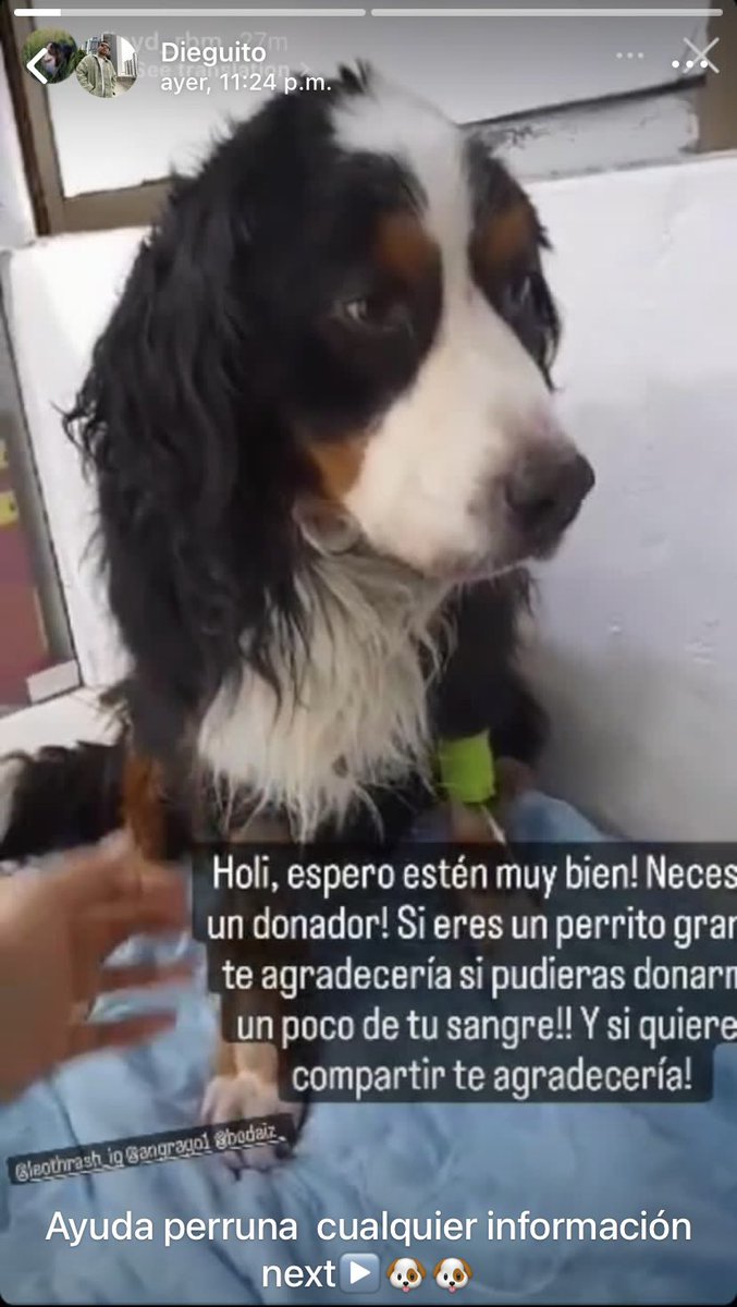 yeapyoufoundme's tweet photo. Ayudita, necesitamos una para amiga. https://t.co/7dQYEFe1JQ