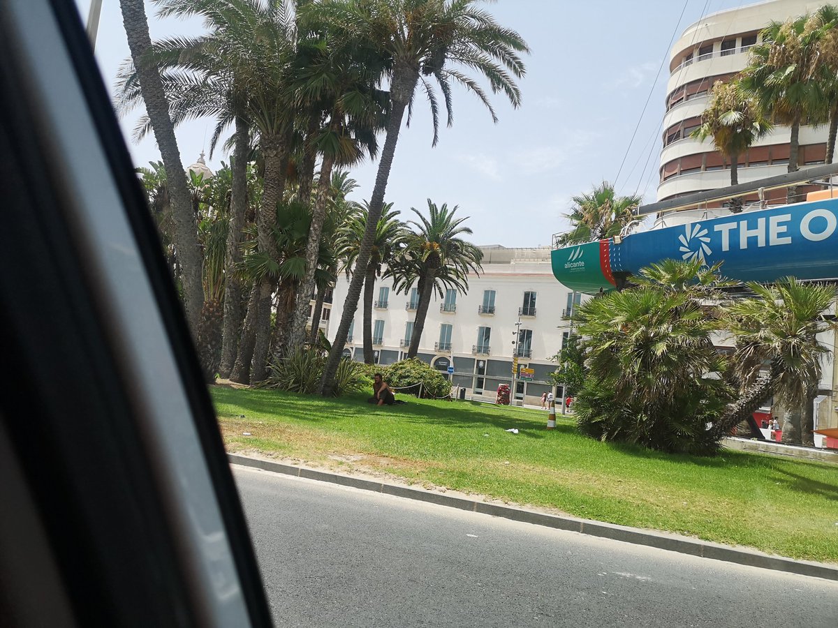 Melyevelyn's tweet photo. El nuevo huésped de la rotonda del ocean. @luisbarcala @alicanteayto @informacion_es han visto donde hace sus necesidades? Hasta cuándo tanta indigencia en la ciudad. #Alicante #indigencia #insalubridad https://t.co/cPqMyTm2so