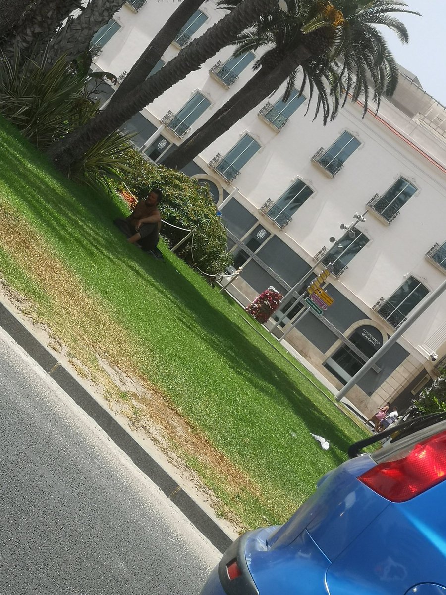 Melyevelyn's tweet photo. El nuevo huésped de la rotonda del ocean. @luisbarcala @alicanteayto @informacion_es han visto donde hace sus necesidades? Hasta cuándo tanta indigencia en la ciudad. #Alicante #indigencia #insalubridad https://t.co/cPqMyTm2so