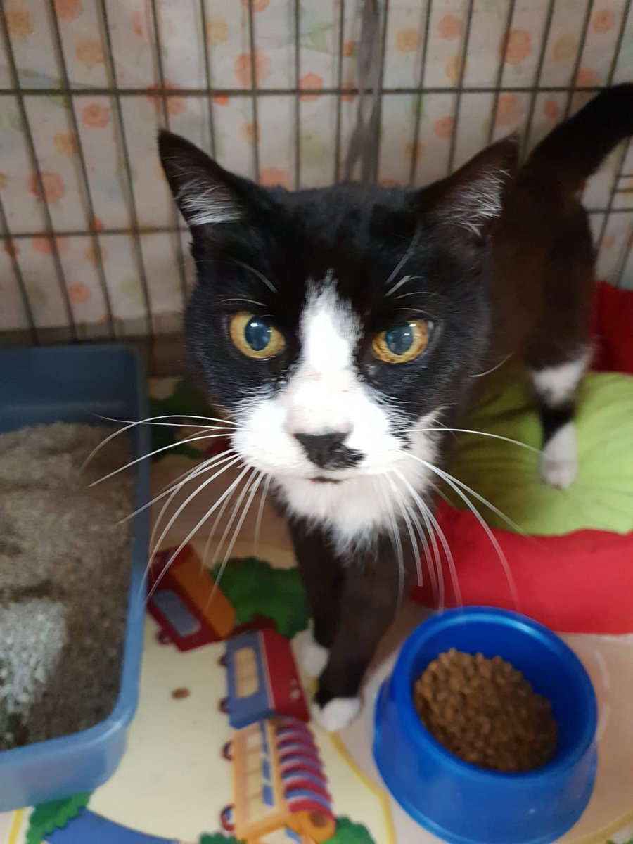 Completo Burnell unwashed Trento vs Germani Brescia, 2025 - Autografato -  Maglie Esclusive del Germani Brescia: aggiudicati le Maglie Indossate nelle  Partite di Serie A, image size:900x1200