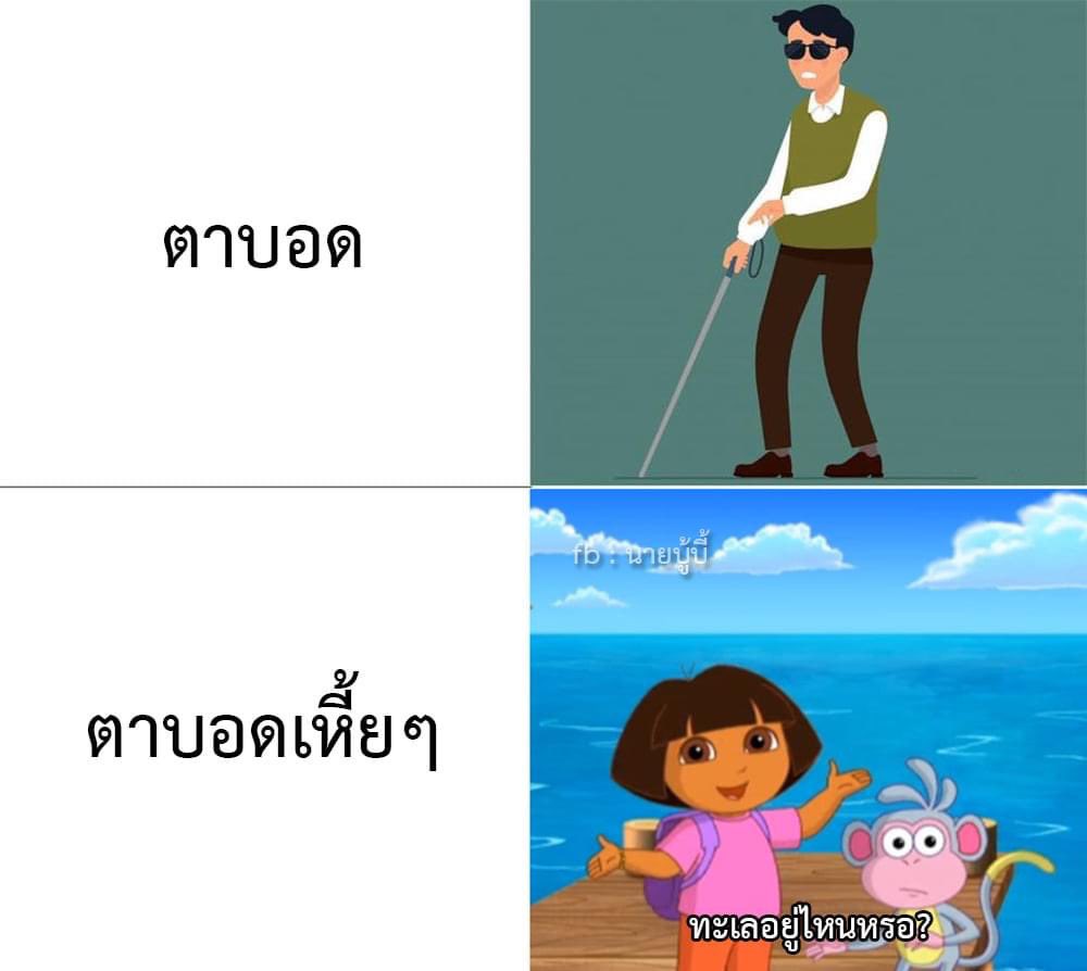 หมีไข่ 🐻 tweet media
