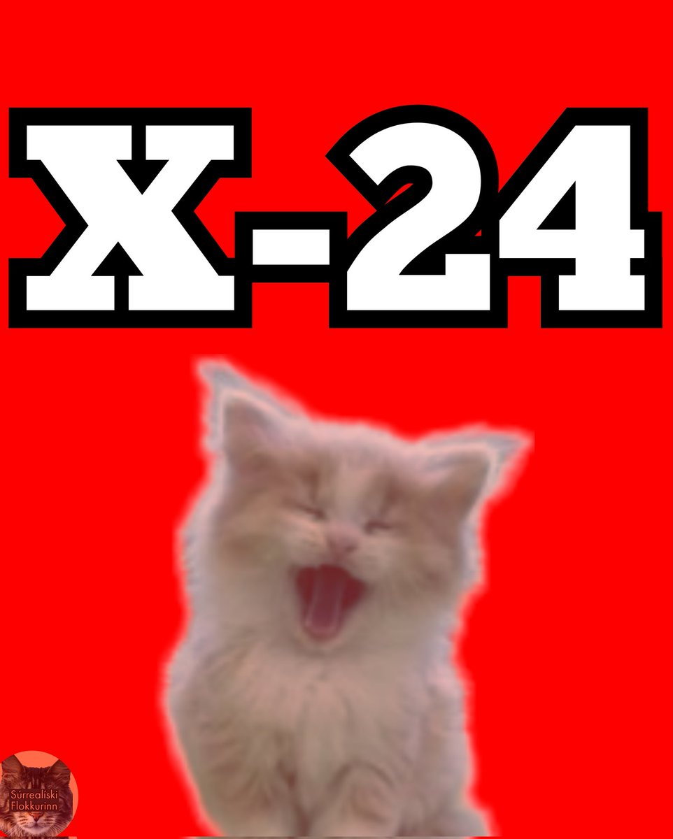 Súrrealíski Flokkurinn (@surealiskif) on Twitter photo 