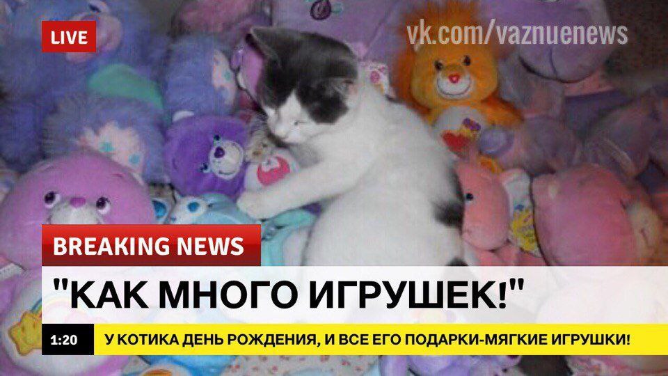 Это Сан