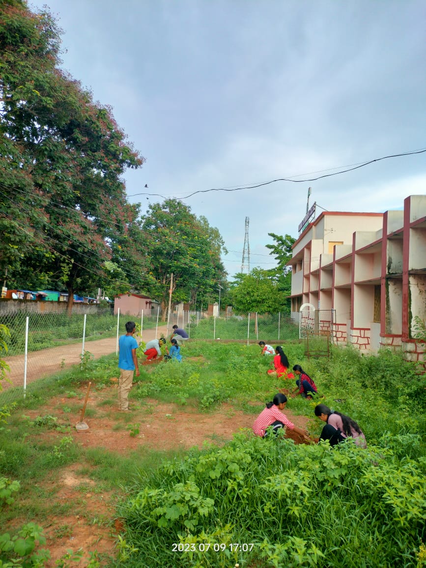 SFDIndiaOrg's tweet photo. As The Foundation day of ABVP. Students For Development, Rairangpur district unit of Odisha state organised Plantation programme in different field. 
#ABVP_75
#FoundationDay
#SFDodisha https://t.co/HqsPHakcxS