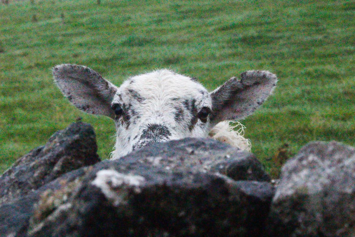 I made an interesting friend in the UK! Check out our latest news! 
Also our NJF Moments in Jazz HIstory Video! youtu.be/0DS87-mIX9Y
conta.cc/3DoxdhX