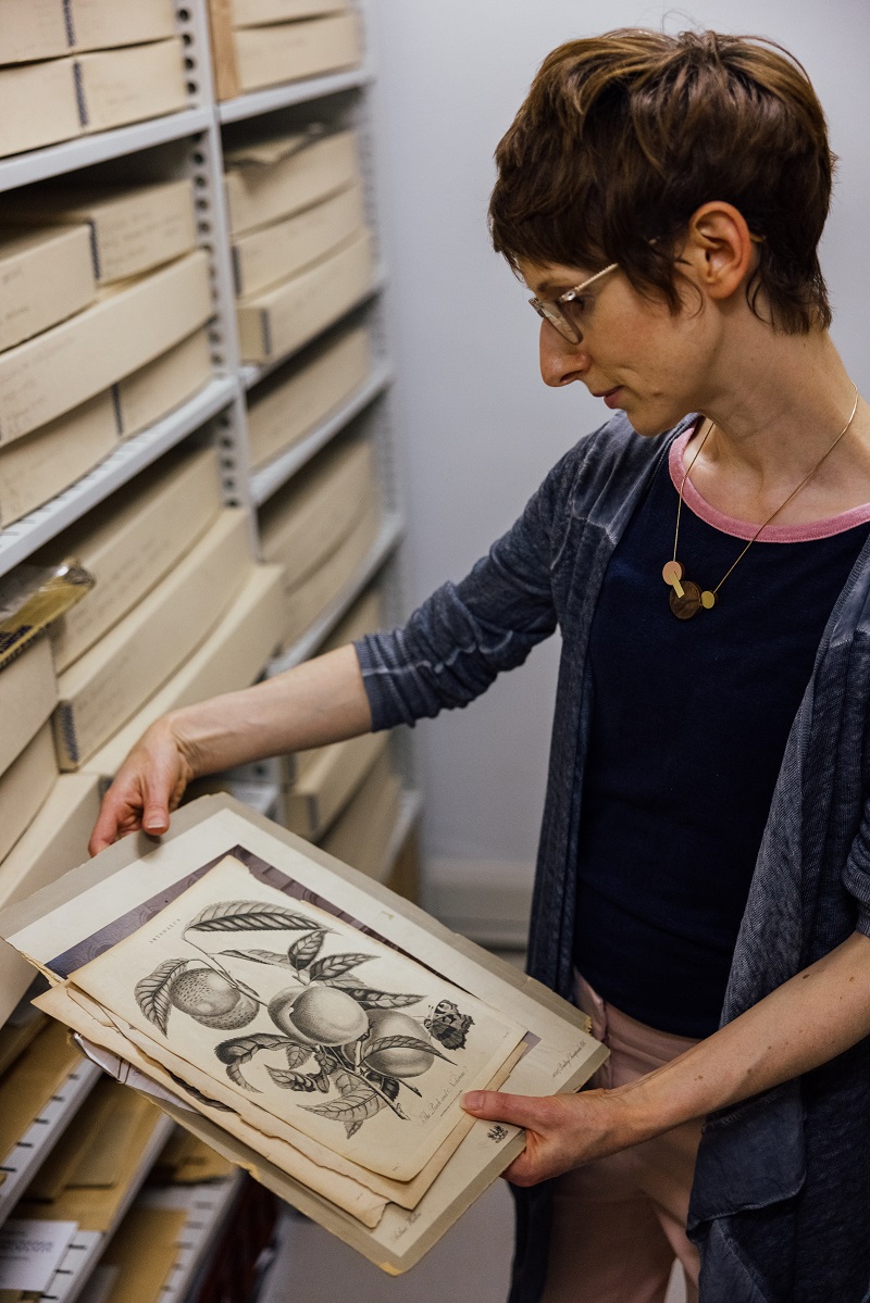 Museum of Royal Worcester tweet media