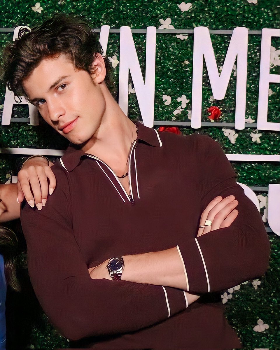 shawn mendes <3
