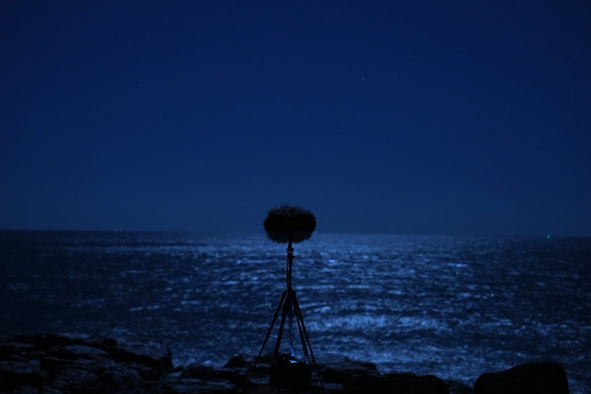 tanjoy sound tweet media