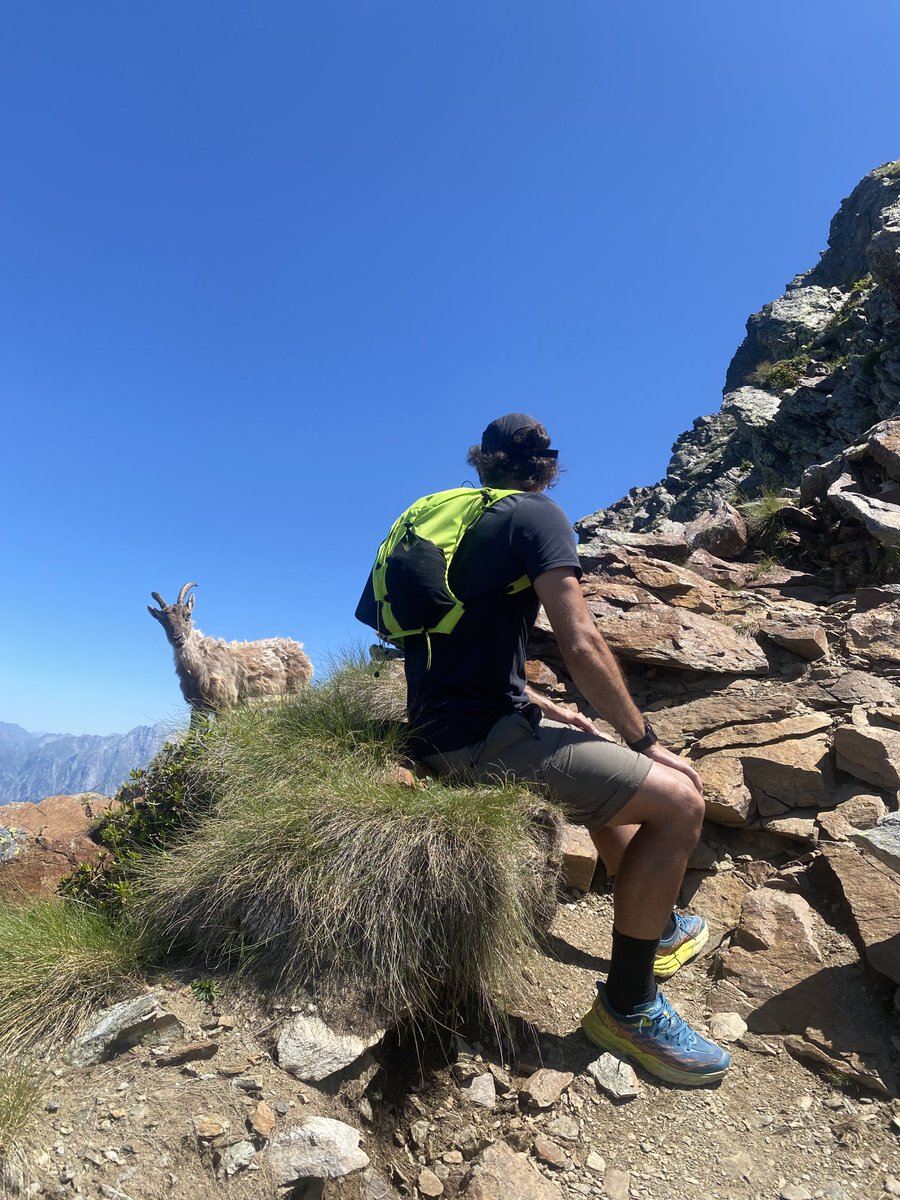 lifeisgood tweet media