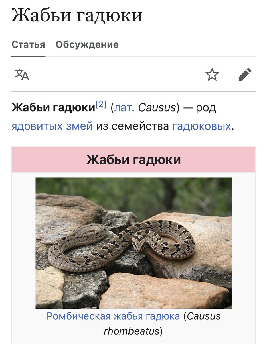 Ребята, у НИХ всё получилось