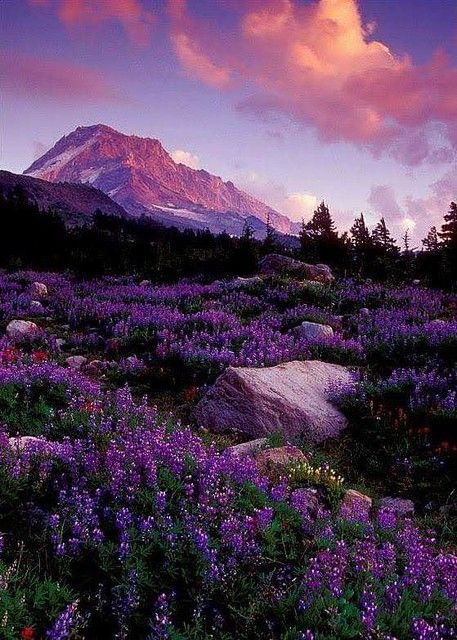 artindetails's tweet photo. heavenly view. https://t.co/p3Xxcc0Baw