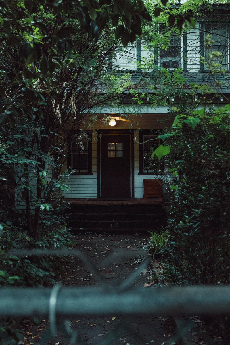 Something different 🕊️ #x100v