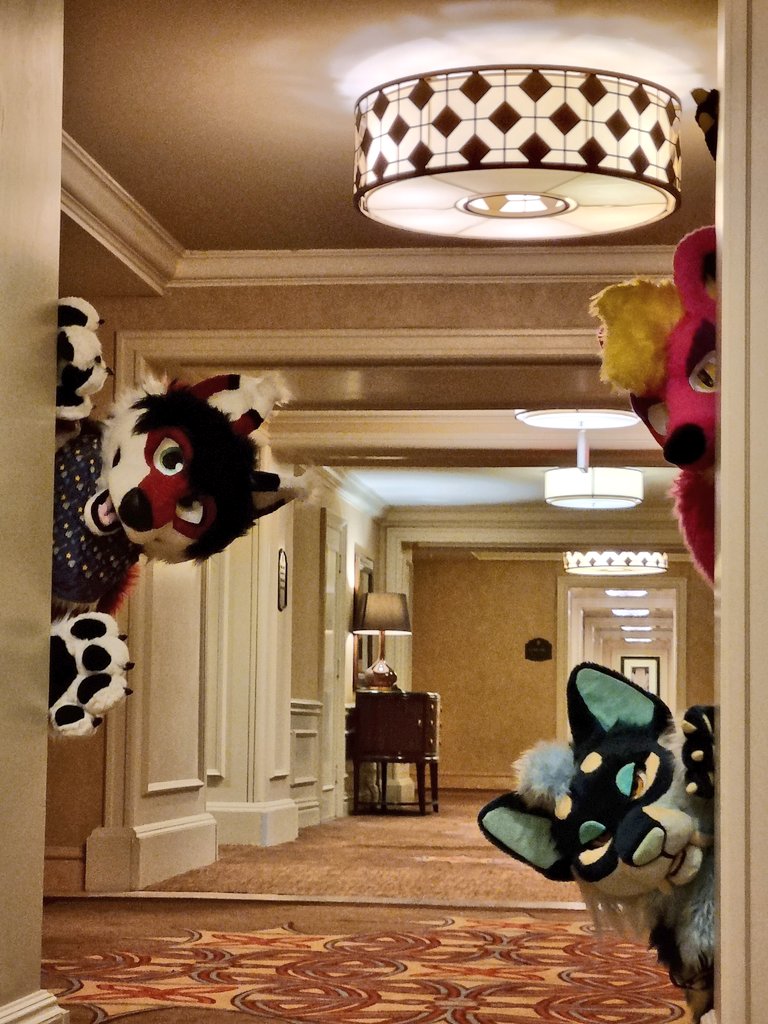 FoxiFelix's tweet photo. I'm hi yes Mr hotel there seems to be a pest infestation.

THEY KEEP EATING MY CHEESE AND DRINKING THE BUD LIGHT https://t.co/GR5w96VjU8