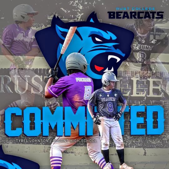 Blount Baseball tweet media