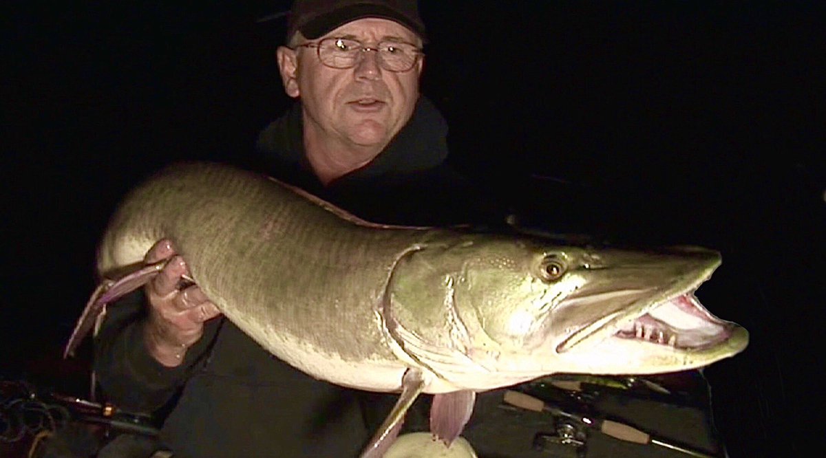 JoeBucherHOF's tweet photo. NEW podcast coming this week on Musky 360 (FREE app). How to crack the code on busy boat traffic lakes. Including the story of my best summer streak — 211 muskies between July 4th and Labor Day. #musky360 https://t.co/h9rCu4DKsM