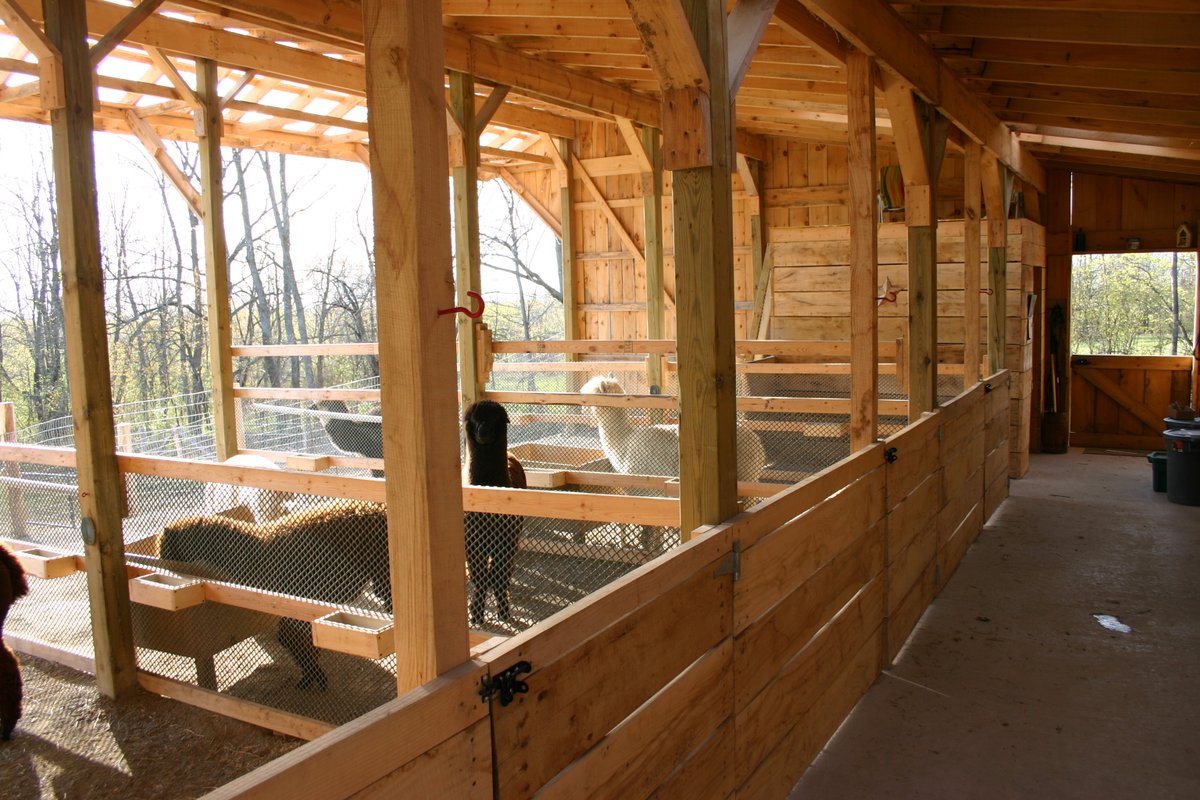 Oak Hills Alpacas tweet media