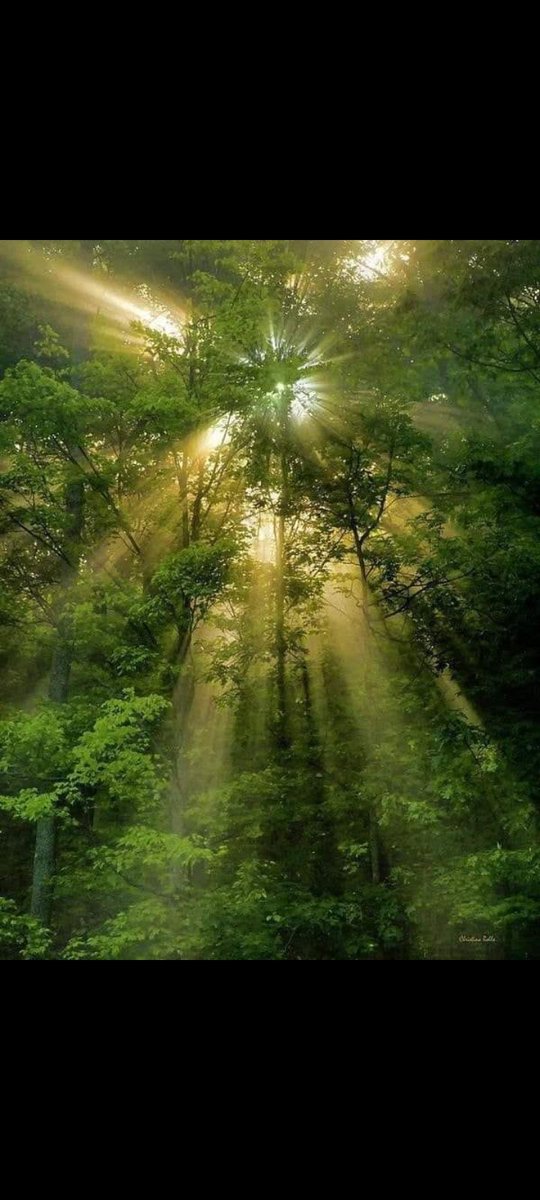 If not carefull our generations will see this environment in pictures only.