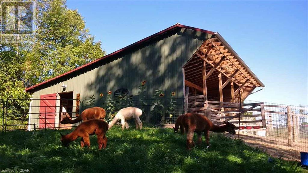Oak Hills Alpacas tweet media