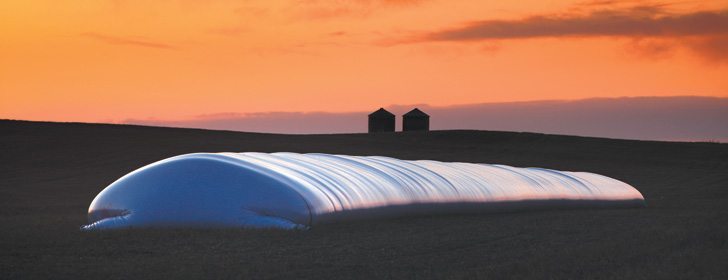 Leasing your grain bags through #AgBagMapper excludes you from liability and ensures for 100% recovery rate of Ag Plastic. Best of all, we pay $85.00 per bag for every #grainbag that is returned. If you need #grainbags for #harvest23, get in touch with #TheGrainBagGuy. 
#SaskAg