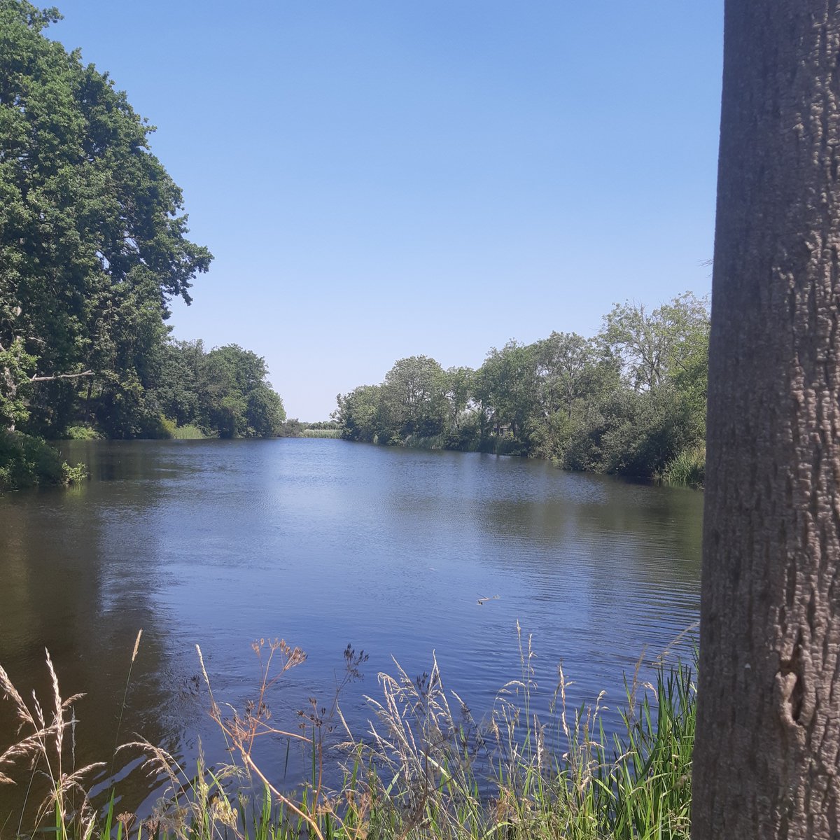 "Bewust vandaag" : bit.ly/SFBewustVandaag