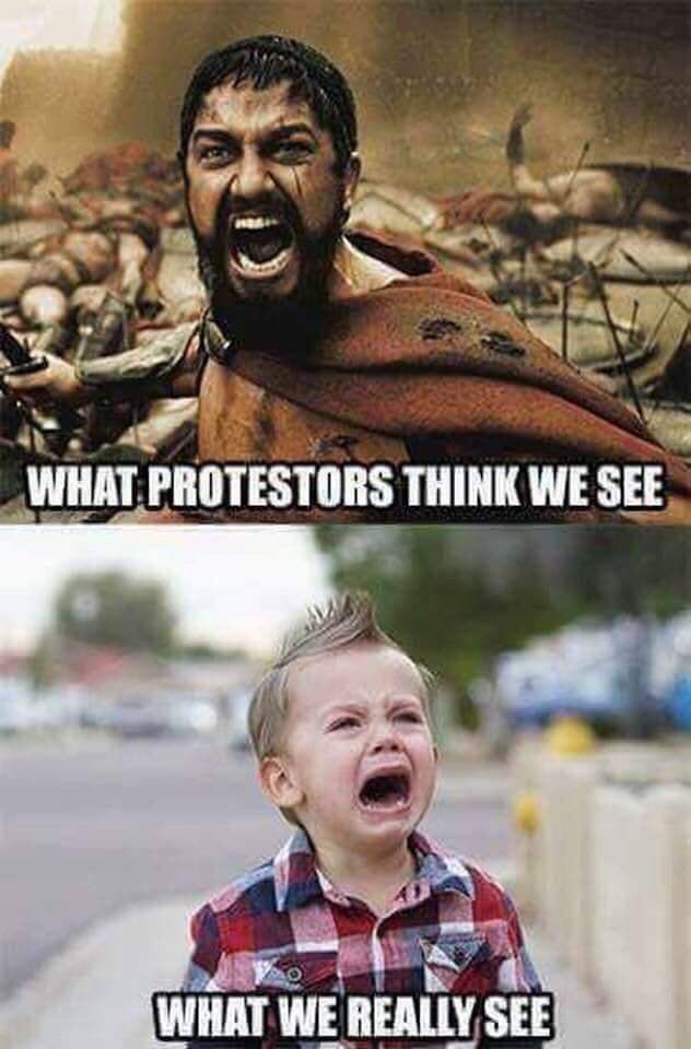 SayPapaReil tweet media