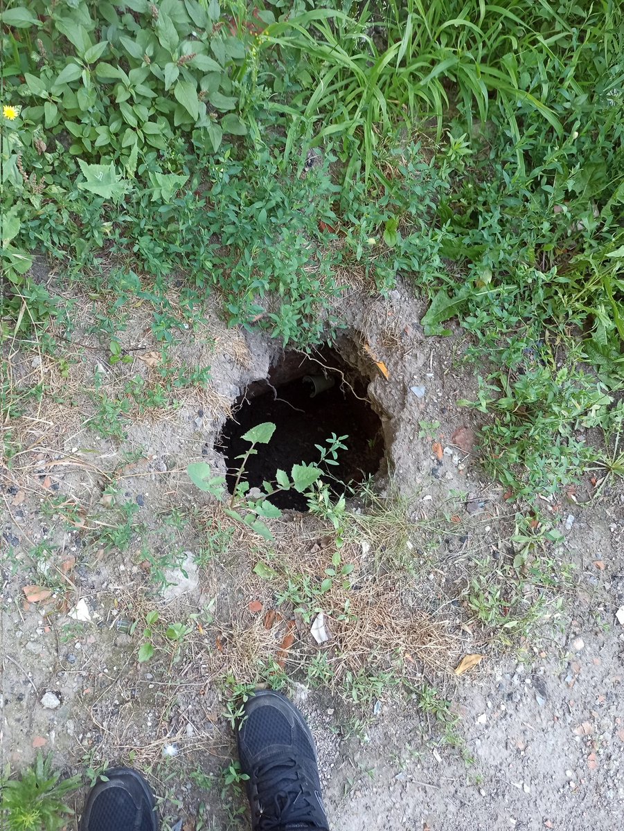 Mi s-a spus că au făcut-o pisicile subterane😀