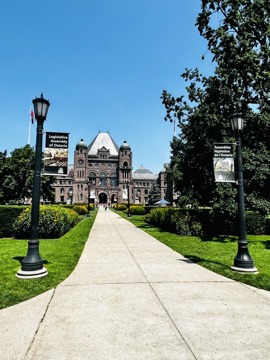 Donna McLeod tweet media