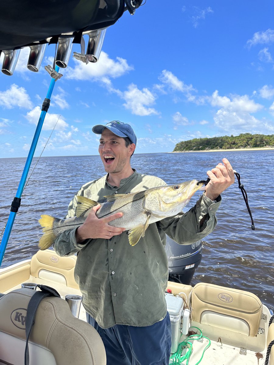 Todd M. Brusko tweet media