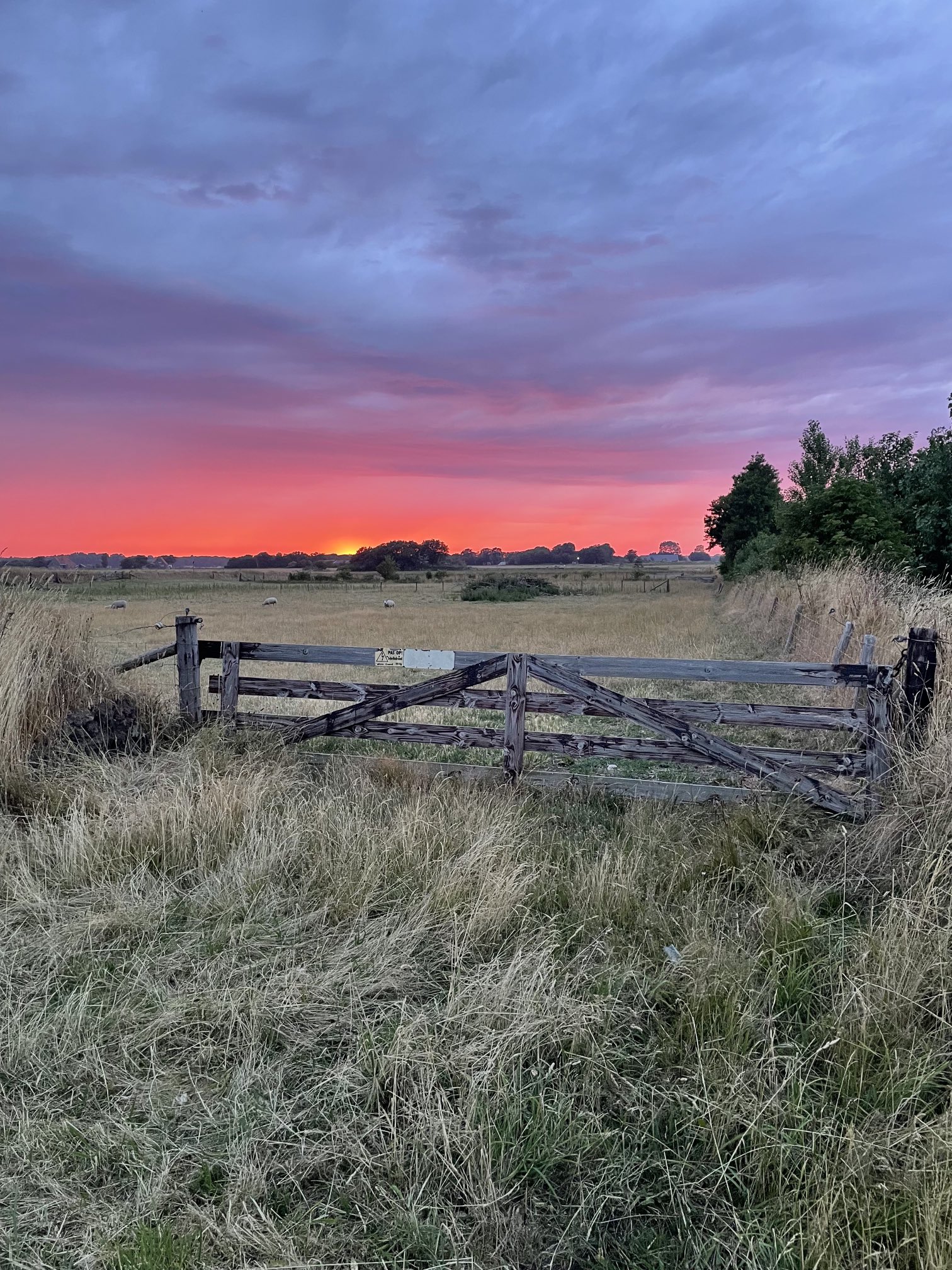 Jeroen Grueter on Twitter "Terwijl half Nederland zich door noodweer