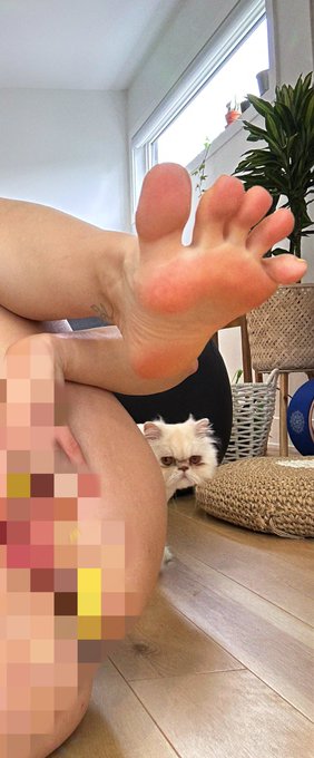 Literally every time I try to DO MY JOB 😡 https://t.co/oqG9dtWUQ6<a href="/tag/nipslip"class="tags"><span>#nipslip</span></a>