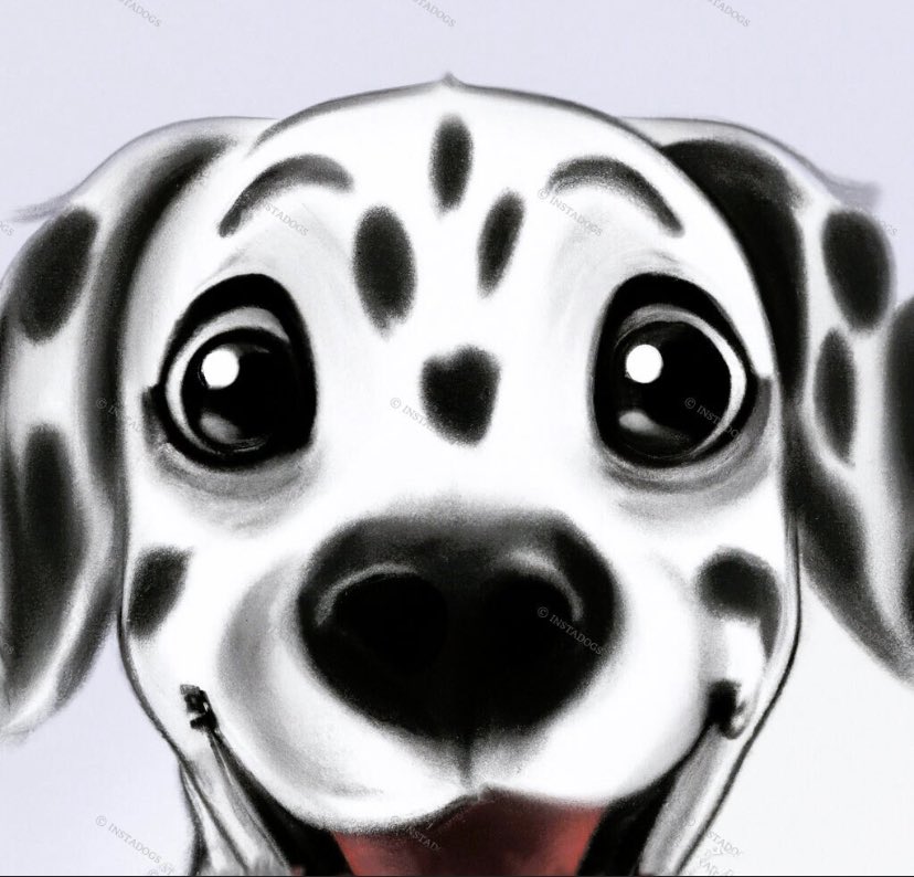 lnstadogs tweet picture