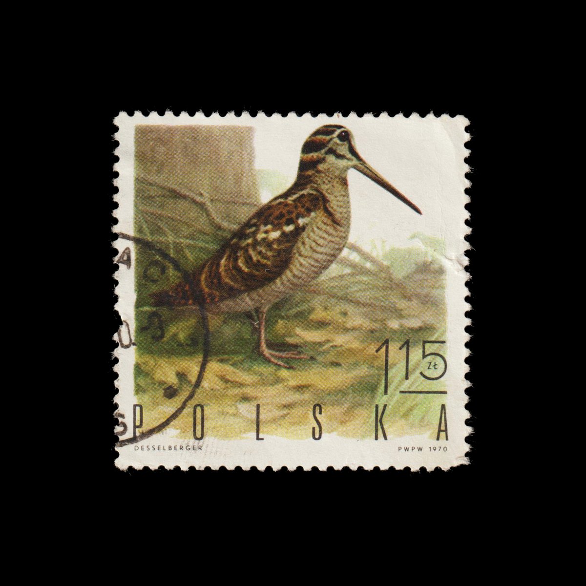 #DidYouKnow the Eurasian Woodcock (Scolopax rusticola) has a fascinating mating ritual called 'roding'? Males make peculiar flight patterns and sounds at dusk to attract females. 🐦💕

❤️YES 🔃NO 🗨️ROMANTIC

#FunFacts #stamps #philately #NFT #Bitcoin <a href="/opensea/">OpenSea</a> #EurasianWoodcock