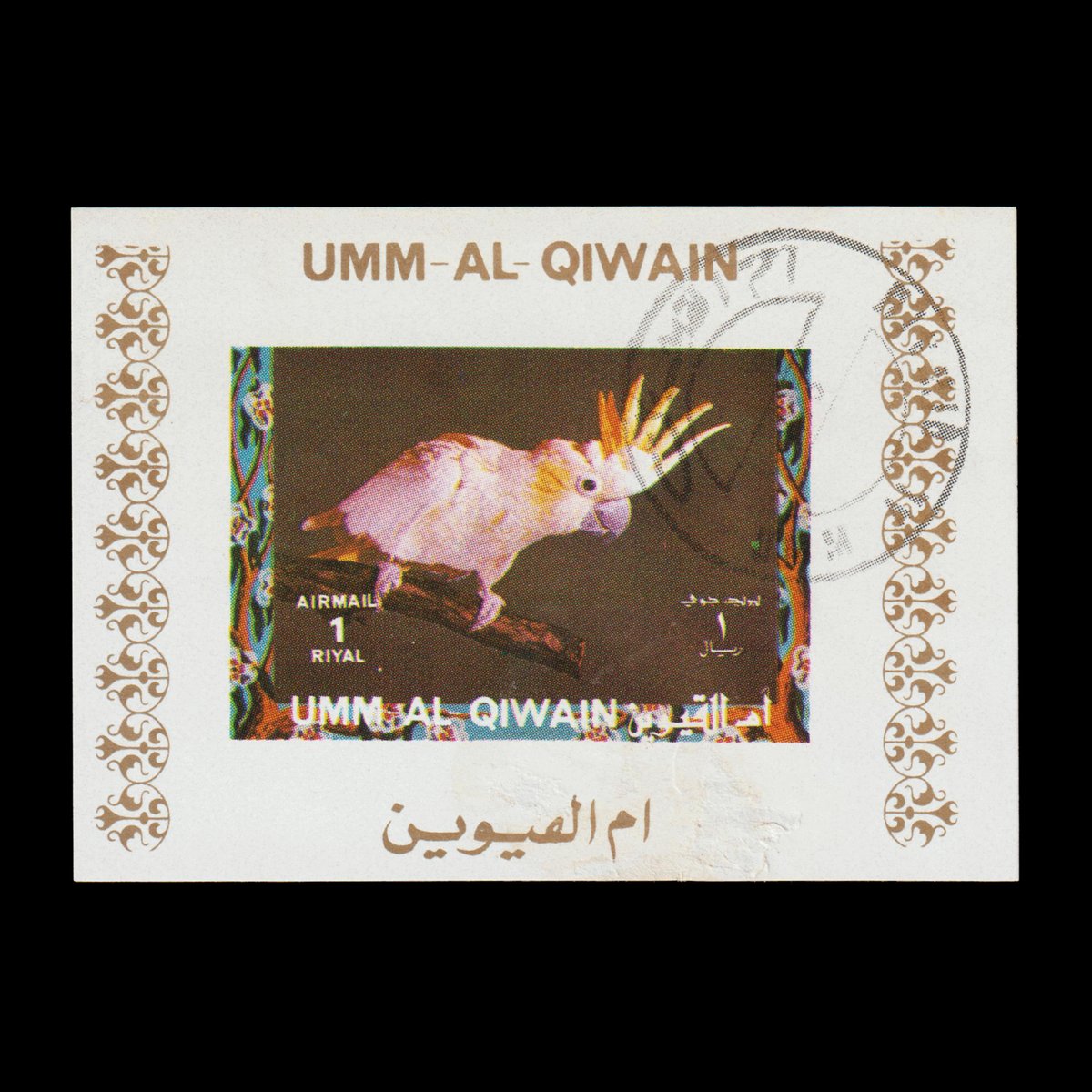 #DidYouKnow the Yellow-crested Cockatoo can live up to 70 years in captivity? These vibrant birds are also known for their intelligence and mimicry skills! 🦜🎭

❤️YES 🔃NO 🗨️IMITATIVE

#FunFacts #stamps #philately #NFT #Bitcoin <a href="/opensea/">OpenSea</a> #YellowCrestedCockatoo