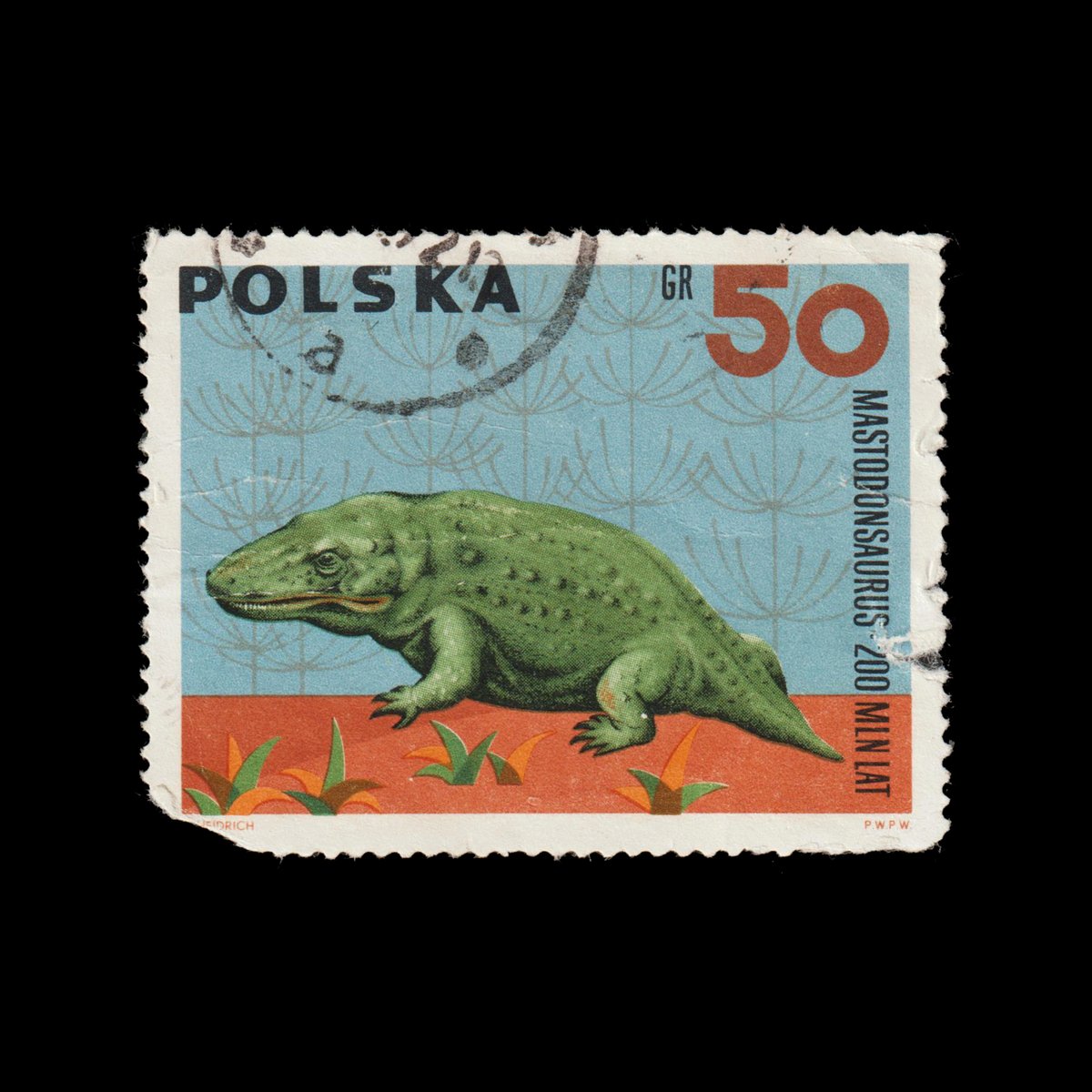 #DidYouKnow Mastodonsaurus was a prehistoric amphibian that lived during the Triassic period? Despite its name, it was not a dinosaur but a temnospondyl, reaching up to 6 meters in length!🦖

❤️YES 🔃NO 🗨️ANCIENT

#FunFacts #stamps #philately #Bitcoin <a href="/opensea/">OpenSea</a> #Mastodonsaurus