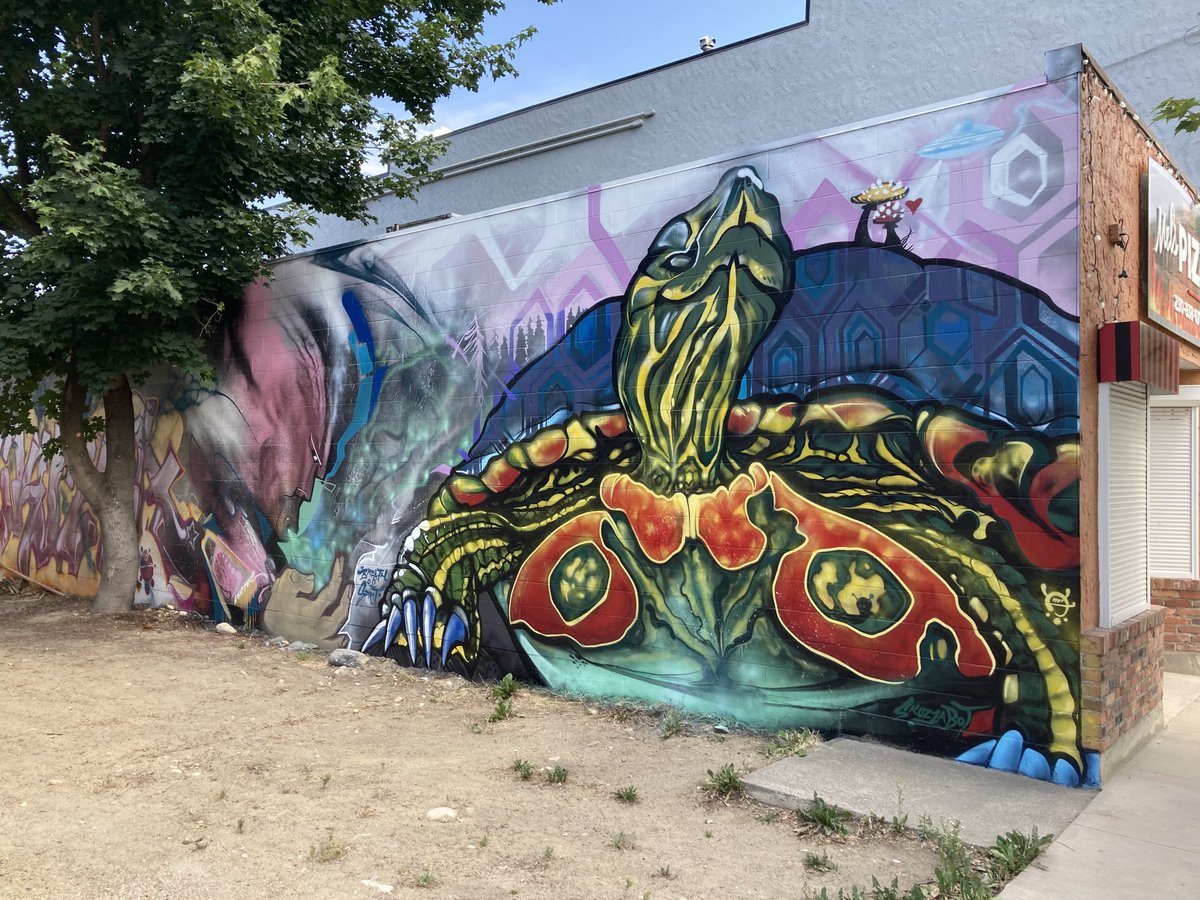 Enderby’s latest mural, our Painted Turtles from some of our little lakes!