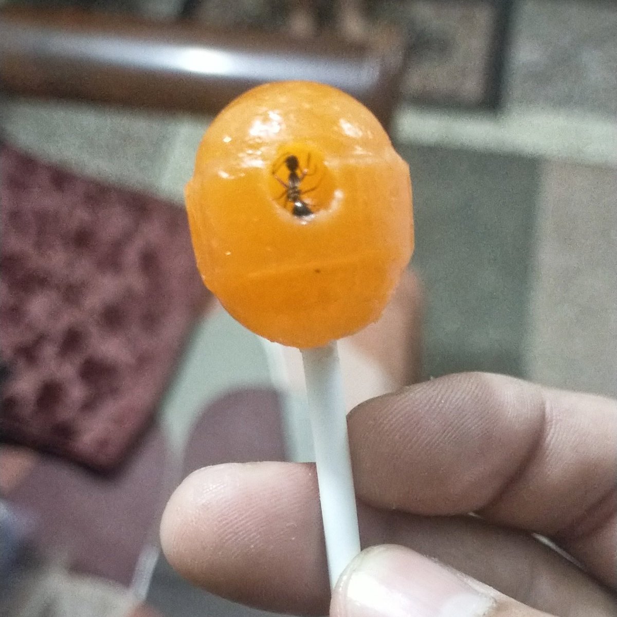 UmerIsLazy's tweet photo. WTF!?!?!? I was going to give this to my nephew. https://t.co/kgoy88UvNZ